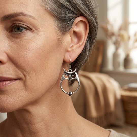 Silver-Toned Owl Design Hook Earrings